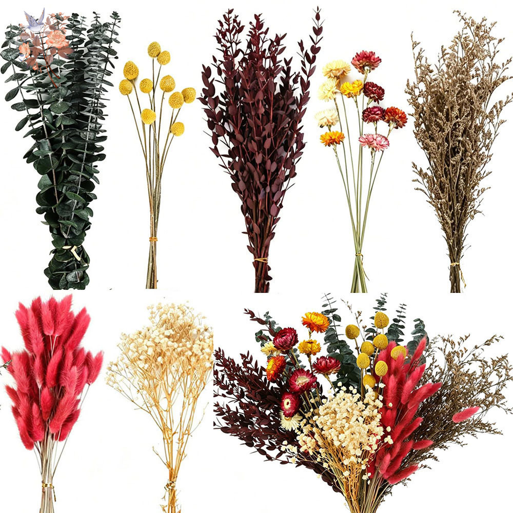 Gedroogde bloemen, grootverpak - Florist Supply Bulk recensie en prijs
