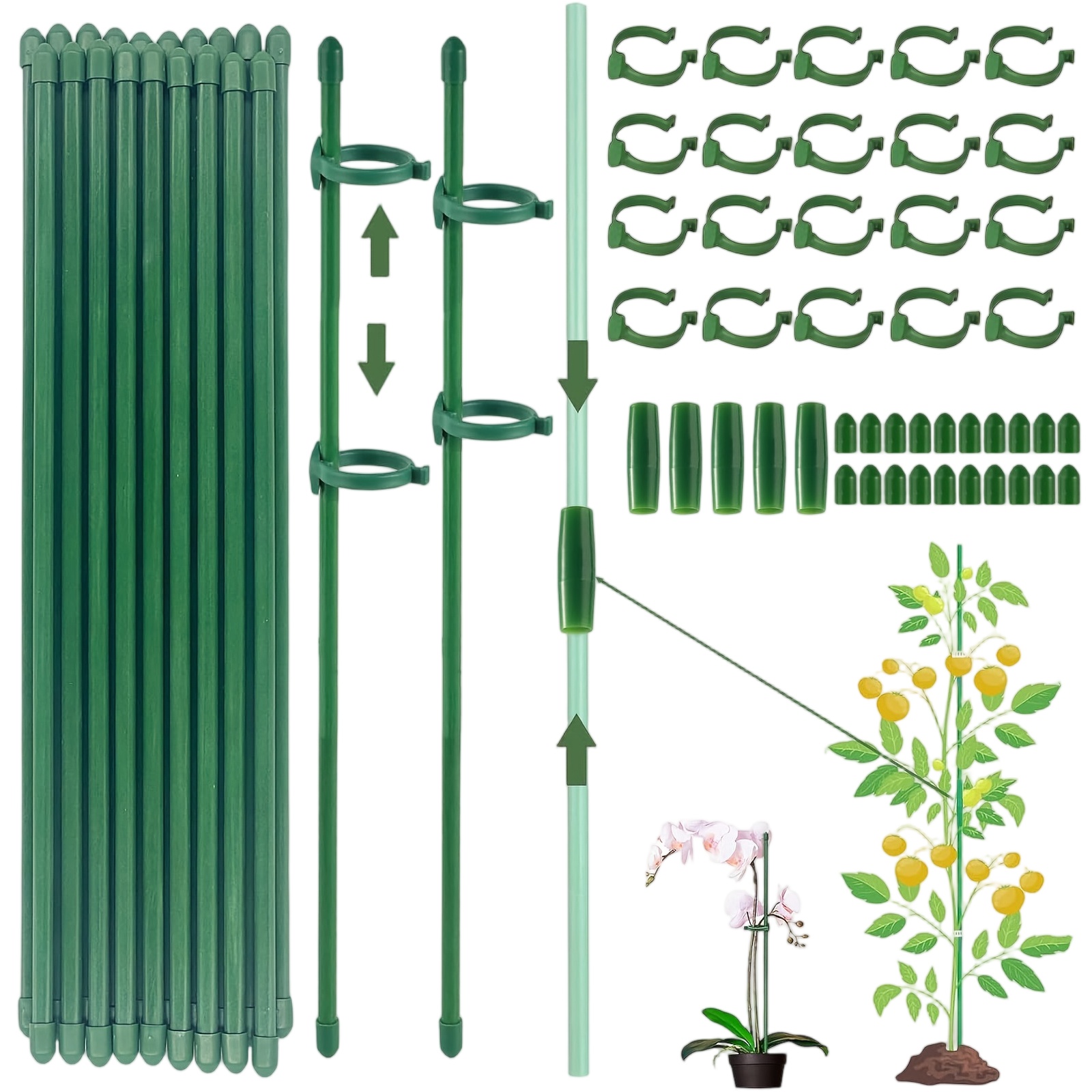 Plantensteunen Staaf Houder vo - Florist Supply Bulk recensie en prijs