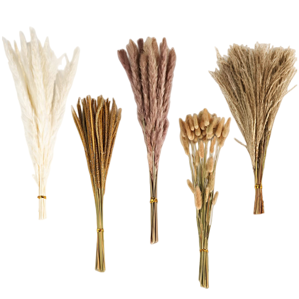 Herfst Vintage Gemengd Gedroog - Eucalyptus Preserved recensie en prijs